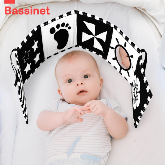 Baby Toys 0-6 Months, Black and White Sensory Toys Brain Development, Tummy Time Toys, Soft Baby Book, Baby Essentials for Newborn 0-6-12 Months Montessori Toy Gifts